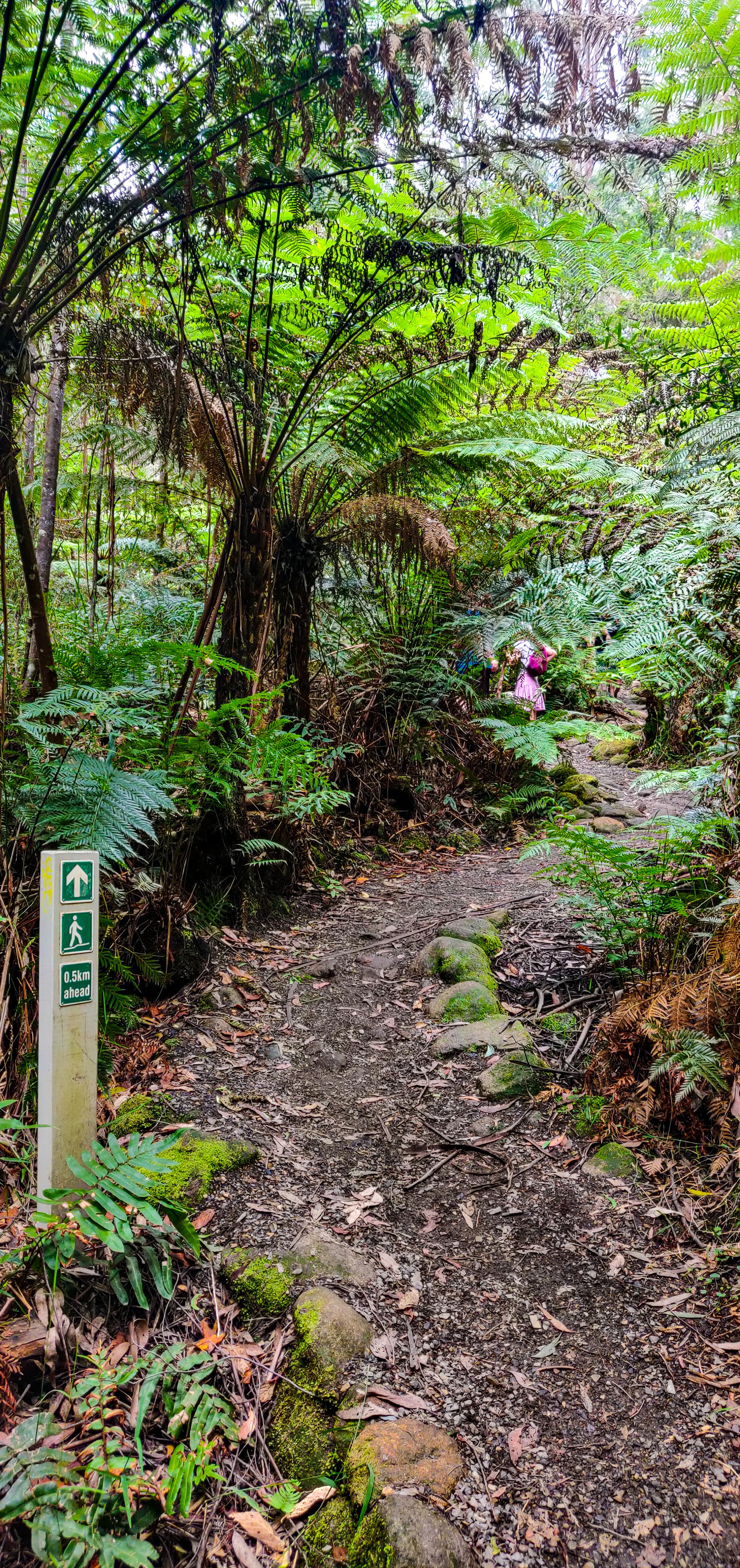 La La Falls Walking Trail